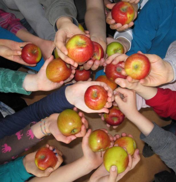 Schulfrucht-Äpfel